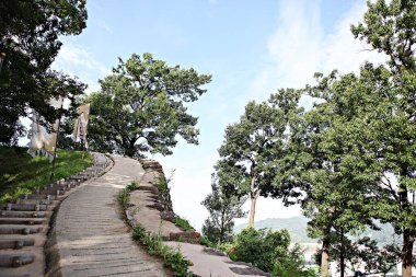 Kore 'yi düşmanlardan korumak için şok asit gibidir.