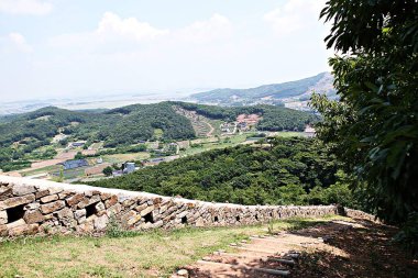 Kore 'yi düşmanlardan korumak için şok asit gibidir.