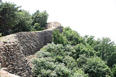 Kore 'yi düşmanlardan korumak için şok asit gibidir.