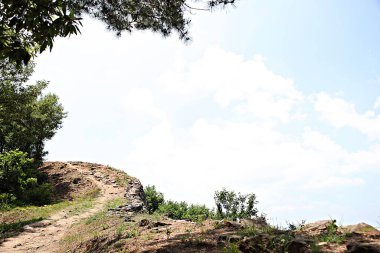 Kore 'yi düşmanlardan korumak için şok asit gibidir.