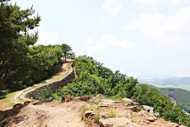 Kore 'yi düşmanlardan korumak için şok asit gibidir.