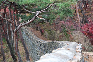 Kore 'yi düşmanlardan korumak için şok asit gibidir.