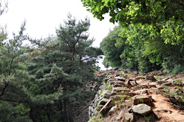 Kore 'yi düşmanlardan korumak için şok asit gibidir.