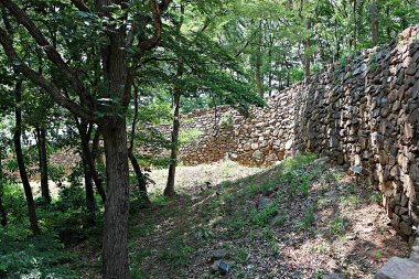 Kore 'yi düşmanlardan korumak için şok asit gibidir.