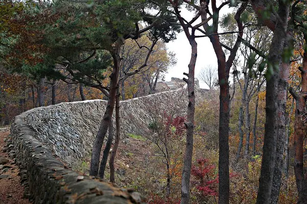 Para Defender Corea Los Enemigos Choque Ácido — Foto de Stock