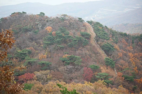 Difendere Corea Dai Nemici Shock Acido — Foto Stock