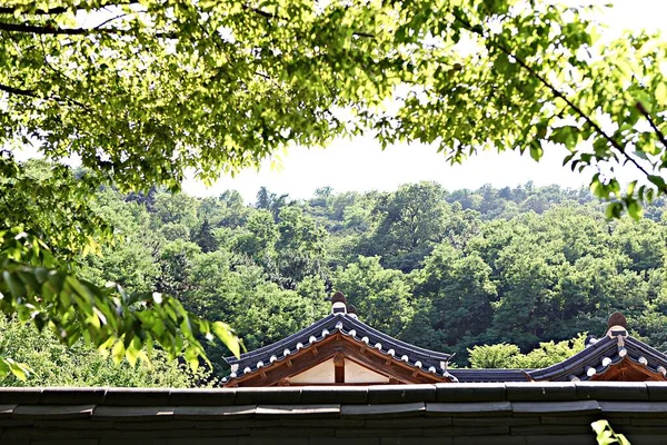 Traditional Korean House — Stock Photo, Image