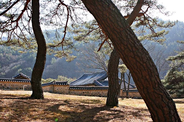 Detta Ett Traditionellt Koreanskt Hus — Stockfoto