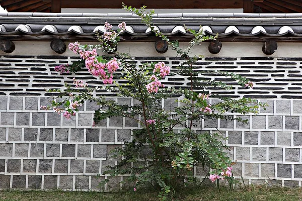 Est Une Maison Traditionnelle Coréenne — Photo