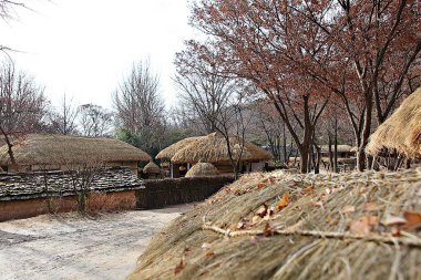 Burası Kore halk köyü.