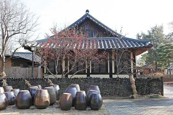 Este Pueblo Folclórico Coreano —  Fotos de Stock
