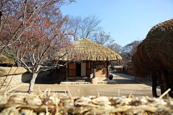 Αυτό Είναι Κορεάτικο Χωριό — Φωτογραφία Αρχείου