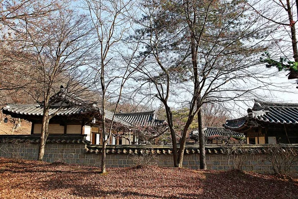 Esta Aldeia Popular Coreana — Fotografia de Stock