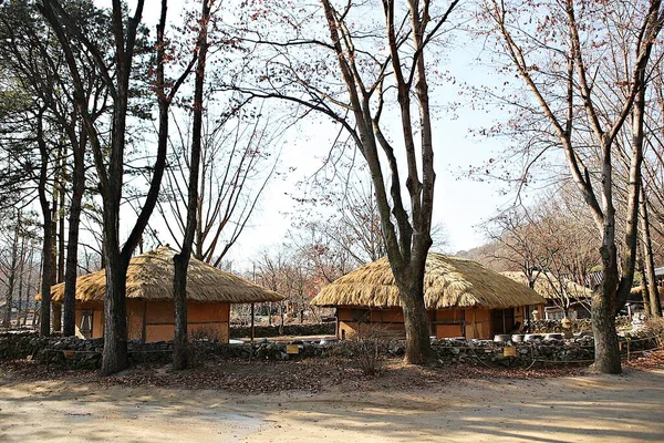 Esta Aldeia Popular Coreana — Fotografia de Stock