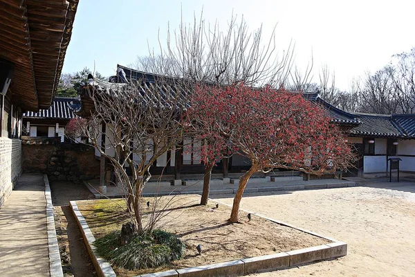 Este Pueblo Folclórico Coreano —  Fotos de Stock