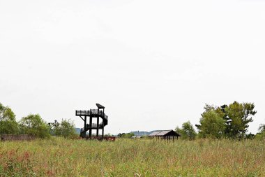 Kore 'de bataklık ve ekolojik bir park. 