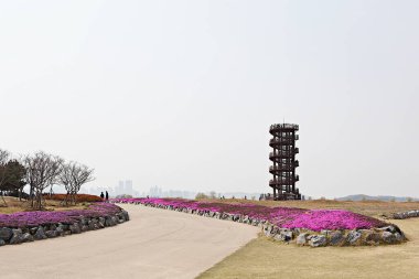 Kore 'de bataklık ve ekolojik bir park. 