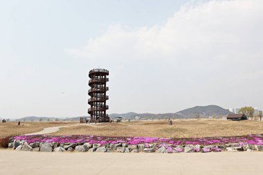 Kore 'de bataklık ve ekolojik bir park. 