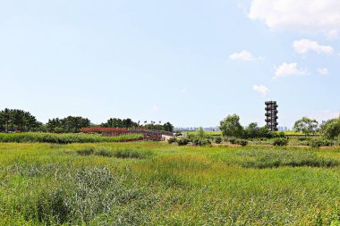 Kore 'de bataklık ve ekolojik bir park. 