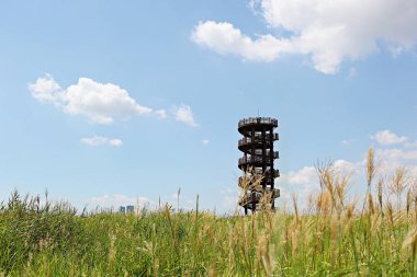 Kore 'de bataklık ve ekolojik bir park. 