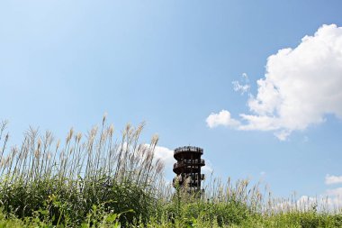 Kore 'de bataklık ve ekolojik bir park. 