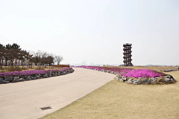 stock image it is a wetalnd ecological park in korea 