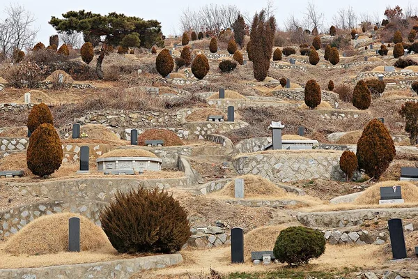 Incheon City Family Park Korea — Stock Photo, Image