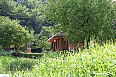 Burası geleneksel bir Kore evi.