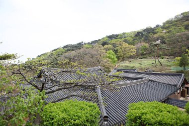 Bu Kore 'deki bir Budist tapınağı.