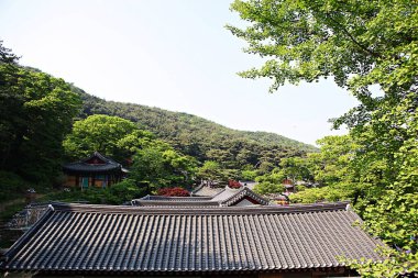 Bu Kore 'deki bir Budist tapınağı.