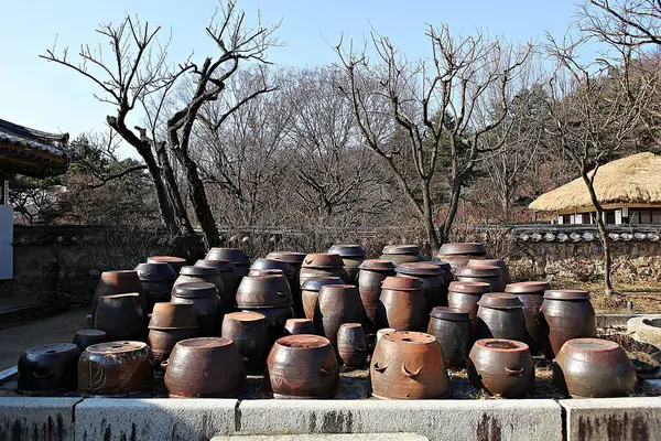 Korejská Kultura Země Zavařená Sklenice — Stock fotografie