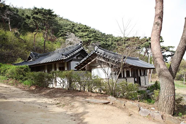 Est Temple Bouddhiste Corée — Photo