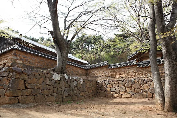 Tohle Buddhistický Chrám Koreji — Stock fotografie