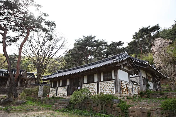 Αυτός Είναι Ένας Βουδιστικός Ναός Στην Κορέα — Φωτογραφία Αρχείου