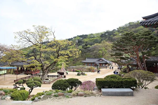 Este Templo Budista Corea — Foto de Stock