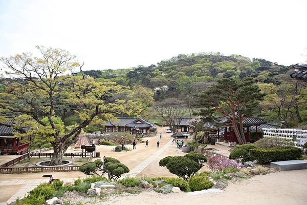 Tohle Buddhistický Chrám Koreji — Stock fotografie