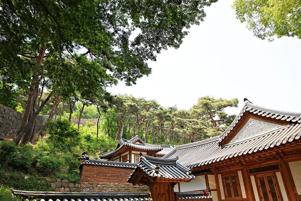 Dit Een Boeddhistische Tempel Korea — Stockfoto