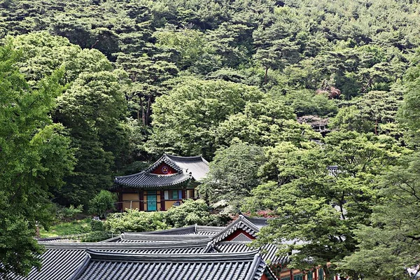 Buddhist Temple Korea — Stock Photo, Image