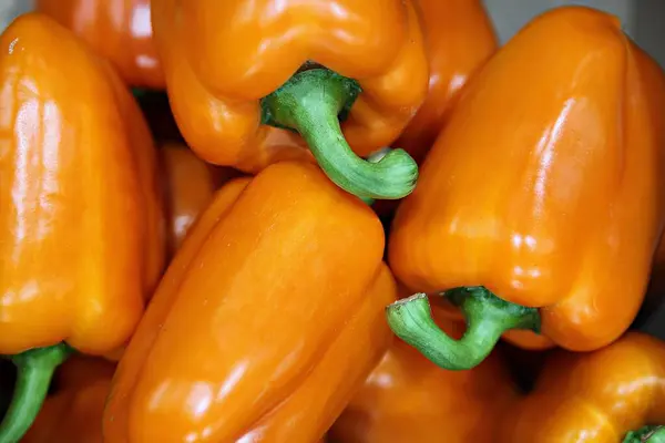 Korean Vegetable Paprika — Stock Photo, Image