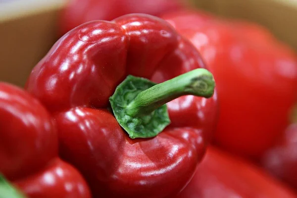 Korean Vegetable Paprika — Stock Photo, Image