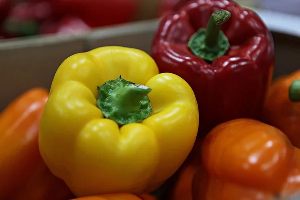 Korean Vegetable Paprika — Stock Photo, Image