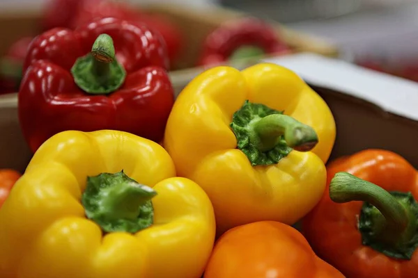 Korean Vegetable Paprika — Stock Photo, Image