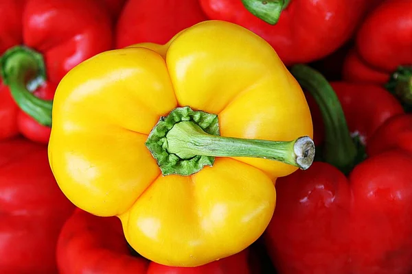 Korean Vegetable Paprika — Stock Photo, Image