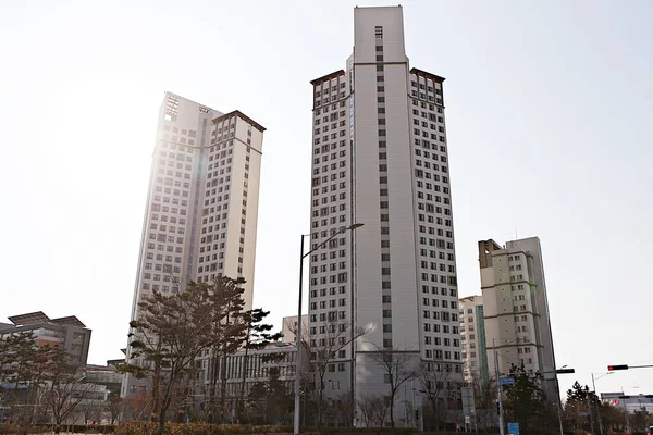 Корейська Строга Будівля — стокове фото