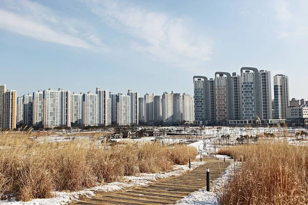 Est Une Architecture Moderne Corée — Photo