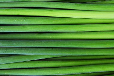 Kore pazarında satılan bir sebzedir..