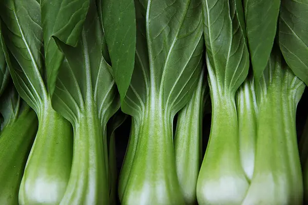 Det Grönsak Som Säljs Den Koreanska Marknaden — Stockfoto