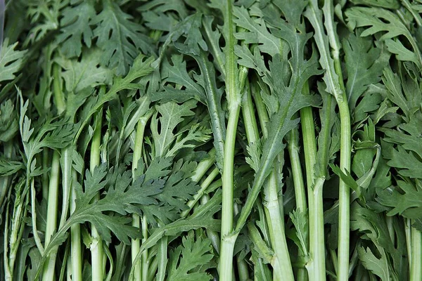 Ist Ein Gemüse Auf Dem Koreanischen Markt Verkauft — Stockfoto