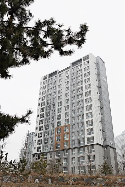 Este Apartamento Residencial Coreano — Fotografia de Stock