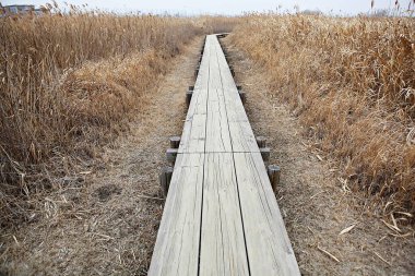 Siheung gaetgol ekolojik parkı Kore